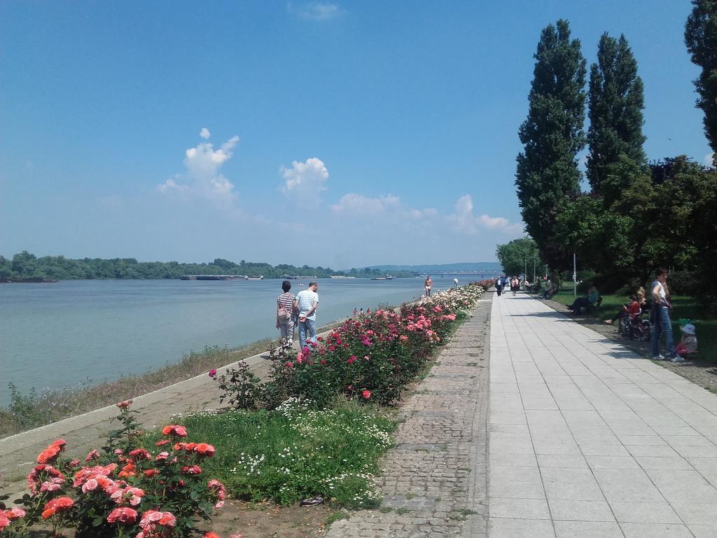 Danube Apartment Белград Экстерьер фото