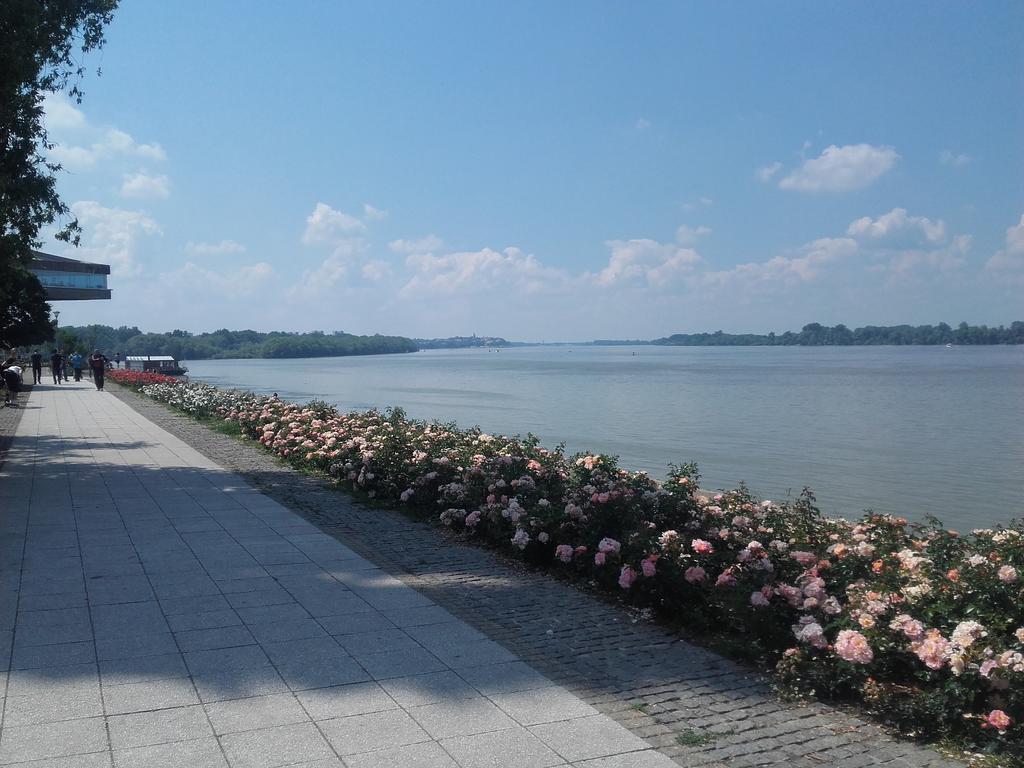 Danube Apartment Белград Экстерьер фото
